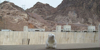 The BEAR on the Dam on the Arizona side