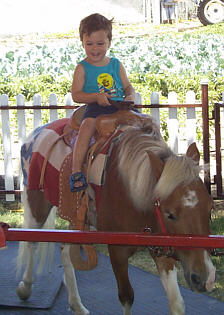 Hayden on the pony ride