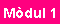 M�DUL 1