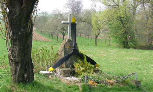 Memorial View
