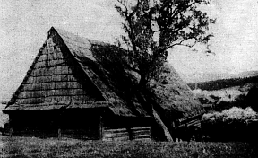 Fojt.gif (52117 bytes)