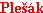 Plesakc.gif (925 bytes)
