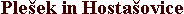 Plesekih.gif (1186 bytes)