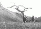 pulag pic 04