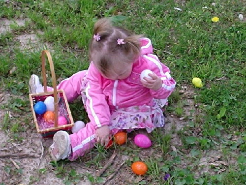 Dayanera more interested in playing w/ eggs instead of hunting them