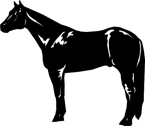 horse body clip art - photo #12