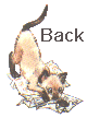 Back To Rascal!