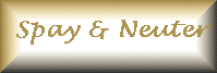 WARNING!  This Page Shows Spaying And Neutering.
