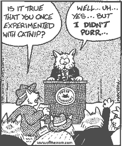 Didn't Purr