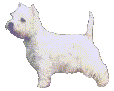 Clicking here will take you to a history of the breed