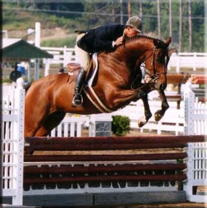 Integrity, bred by Jane Ervin