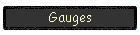 Gauges