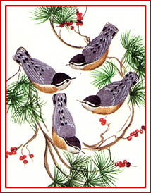 /user/birds.jpg