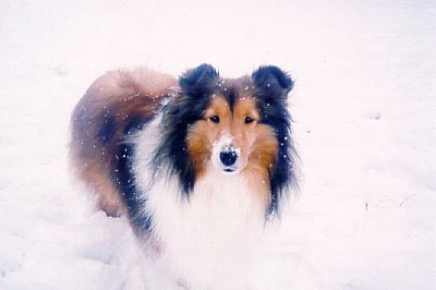 Click on this picture to go to Mommy Echo's Pages Of Love!