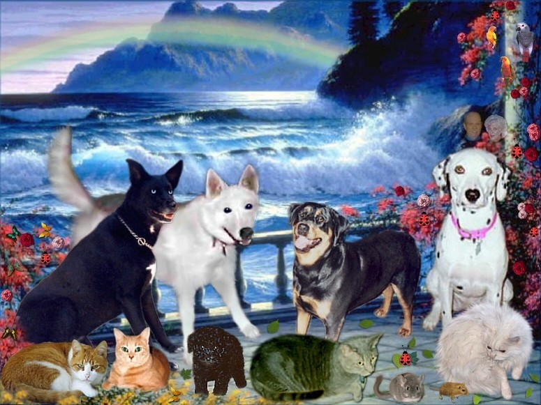 We Love You Mommy & Family!!! And we will be here when you get here. Until then, please remember all 3 of us are together and happy here and we will meet you at the end of the Rainbow when you join us.