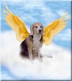 Click on Fred's picture and it will take you to his page!
