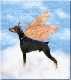 Click on Kalecho's picture and it will take you to his page!