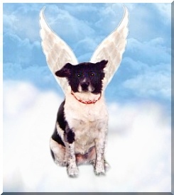 Click on Mishita's's picture and it will take you to her page!