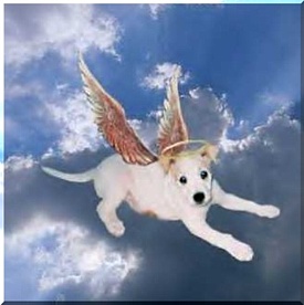 Click on Samaria's picture and it will take you to her page Mike, Whiskywolf created!