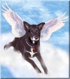 Click on Troubles'sss&nbsp; picture and it will take you to her page!
