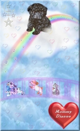 Click on Spooky's Picture to go to her home page !