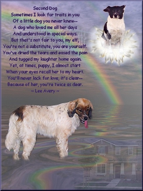 Hi Mommy, I am so happy to see you smiling again! I know you will never forget me, so go right ahead and spoil Brian and give Bryan the same great life you gave me! Until we meet again, Mommy :-)