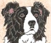 Click to send an E-MAIL to Lobo & Magicwolf