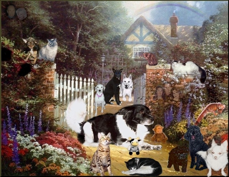 Look at all my new friends, Mommy, there is Troubles, Pooky, Fluffy Kitty, Kelsey Graff, Misty Kitty, Max, Birdie, Lady, Angel Kitty, Whiskey Kitty, Belle Kitty, Spooky, Chucky Kitty & Kayce, & Ivan, the iguana & I even got a new monkey and a new cow to play with -- woof woof :-)