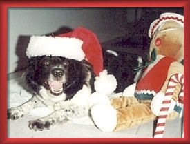 Merry Christmas & A Happy New Year!