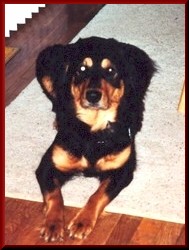 I love you & miss you, Daddy!