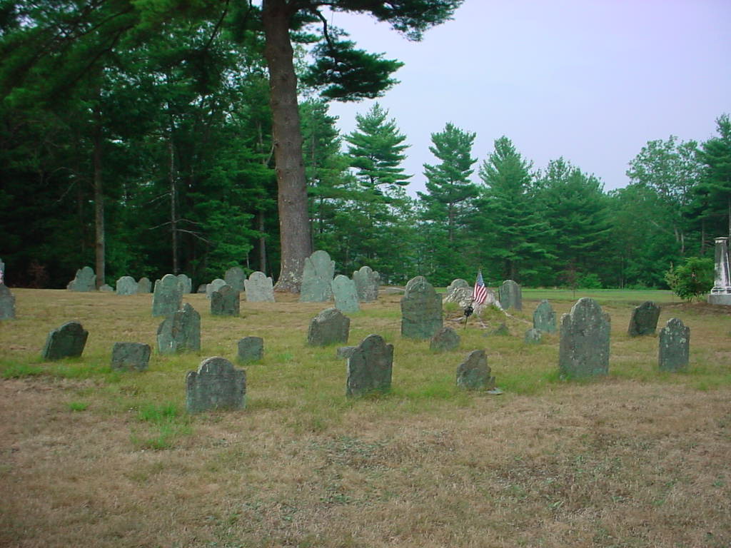 The Bonham/Nye Family plots at Lakenham