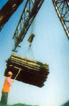 Image12.gif (42725 bytes)