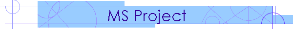 MS Project