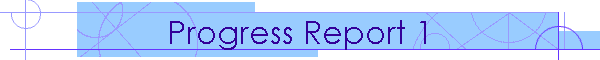 Progress Report 1