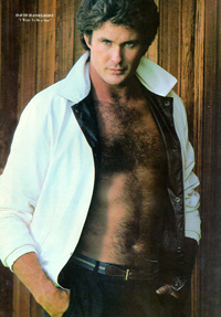 Hasselhoff and Hasselhoff's rug