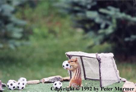 Charlie in a soccer team