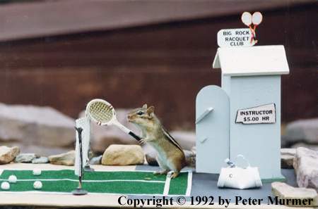 Be a tennis star