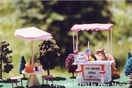 Want an ice-cream?