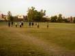 Football Stadium