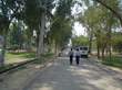 Road from Sports complex to Hostel