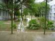 A beautiful view of College after rain
