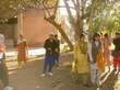 Final Cricket Match