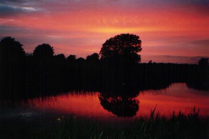 Currigeencut