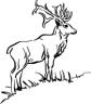 My Buck Page