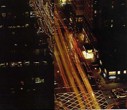 P19_0.jpg (42223 bytes)