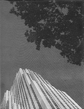 P31_1.jpg (29058 bytes)