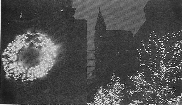 P56_0.jpg (54537 bytes)