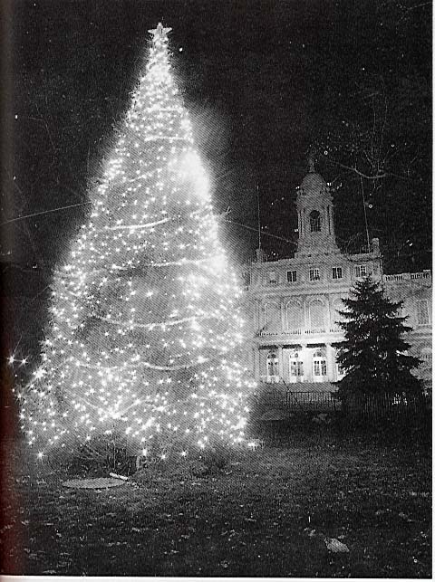 P71_0.jpg (98975 bytes)