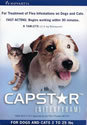 Capstar Flea Treatment. Blue for Cats. 6 tablets - $11.89, 100 tablets - $161.89.