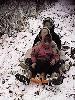 Angela, Brian, and Michel sledding down the hill